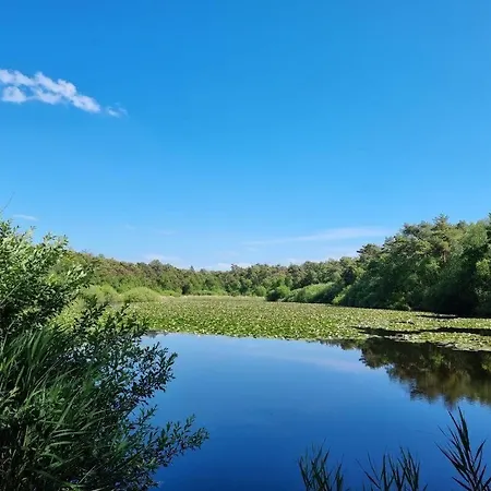 Frische-brise-06-04
